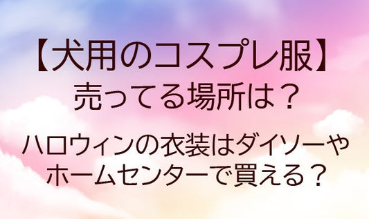 犬用コスプレ服が売ってる場所は？ハロウィンの衣装はダイソーやホームセンターなどで買える？